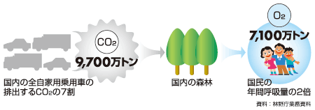 生活環境保全機能（国内の森林は、国内の全自家用乗用車の排出する二酸化炭素の7割を吸収し、国民の年間呼吸量の2倍の酸素を放出する）