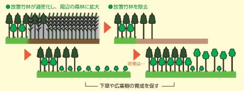 放置竹林の整備イメージ