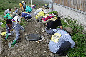 低地性植物の除去