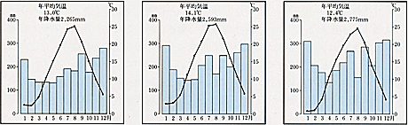 年平均気温・降水量グラフ（輪島市・金沢市・鳥越村）