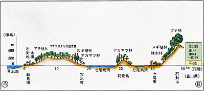 能都地方の植生横断図