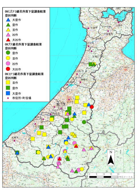 雄花落下量調査結果豊凶判断図