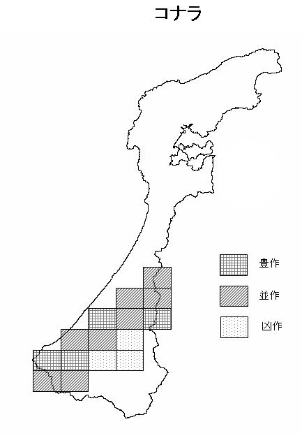 豊凶予測（コナラ）