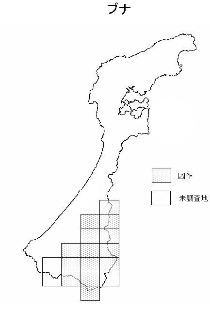 豊凶予測（ブナ）