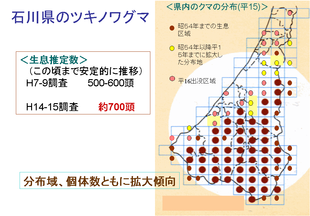 石川県のツキノワグマ図
