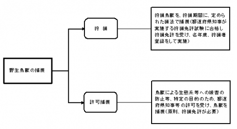 狩猟と許可捕獲の違いの図