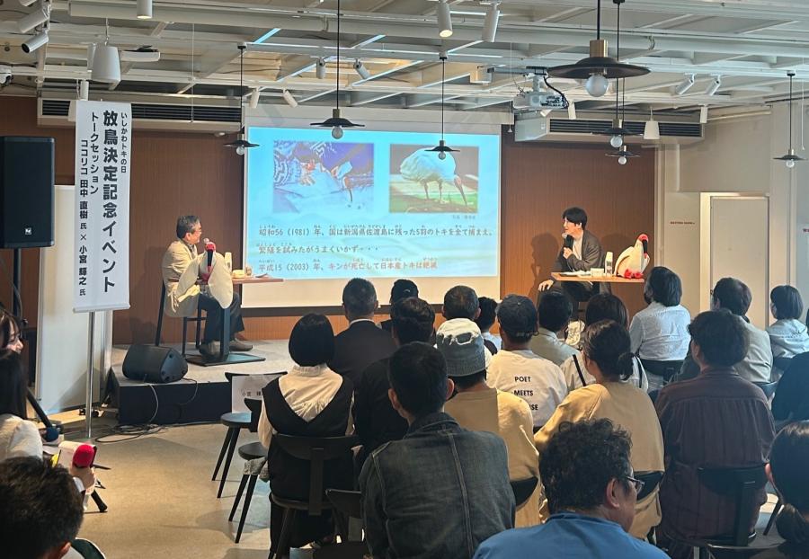放鳥決定イベント