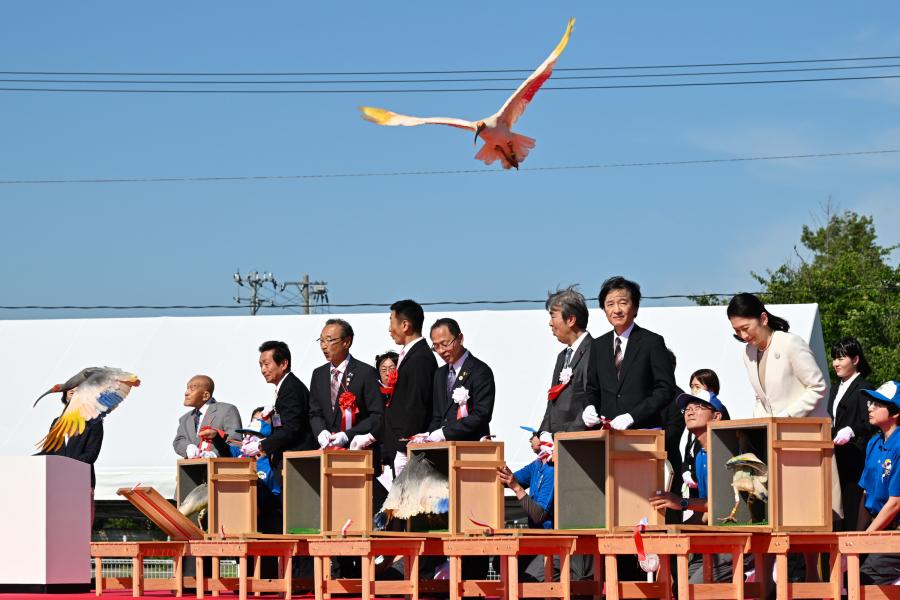 放鳥式1