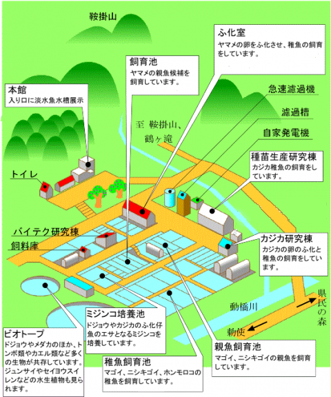 場内地図