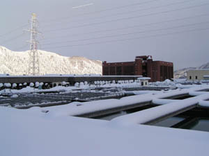 冬の浄水場