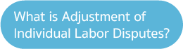 What is Adjustment of Individual Labor Disputes?