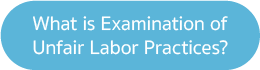 What is Examination of Unfair Labor Practices?